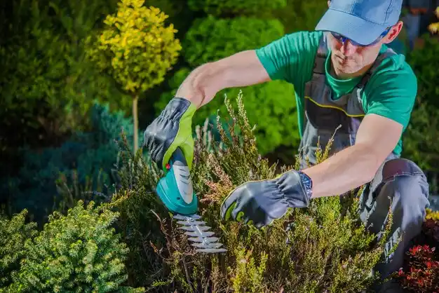 landscaping services New Iberia